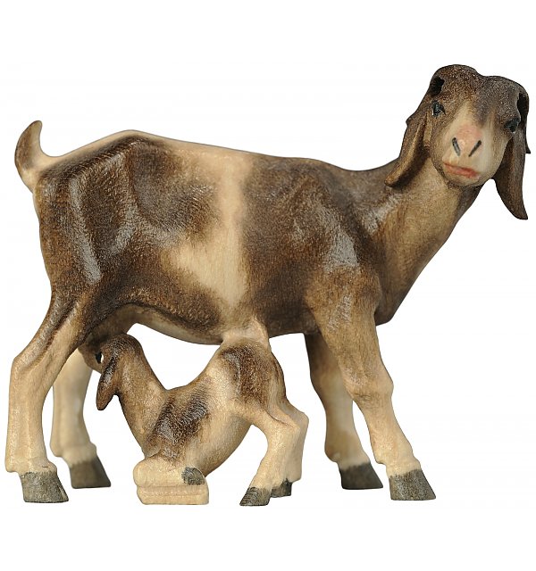 2981 - Goat feeding  kid COLOR