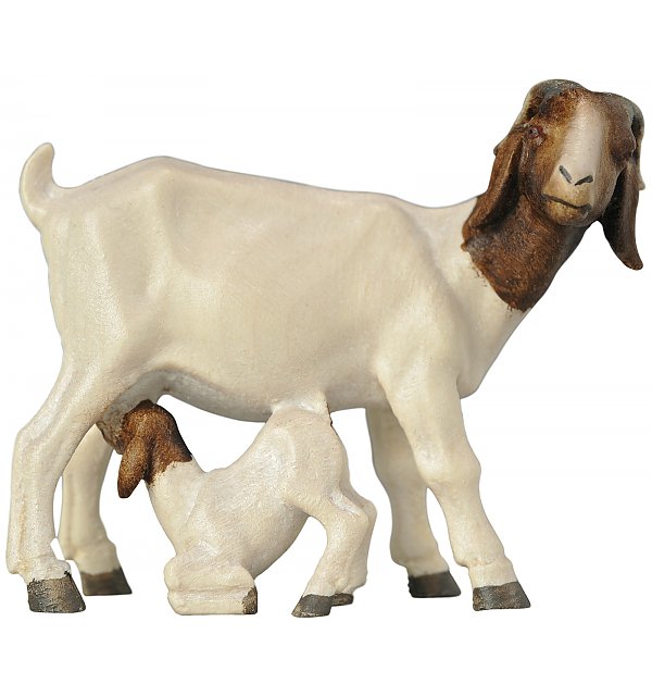 4311 - Boer goat with fawn COLOR