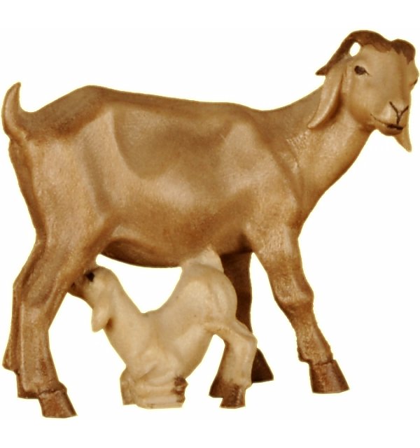 4311 - Boer goat with fawn TON2