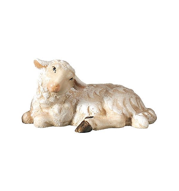 24200 - Sheep lying COLOR