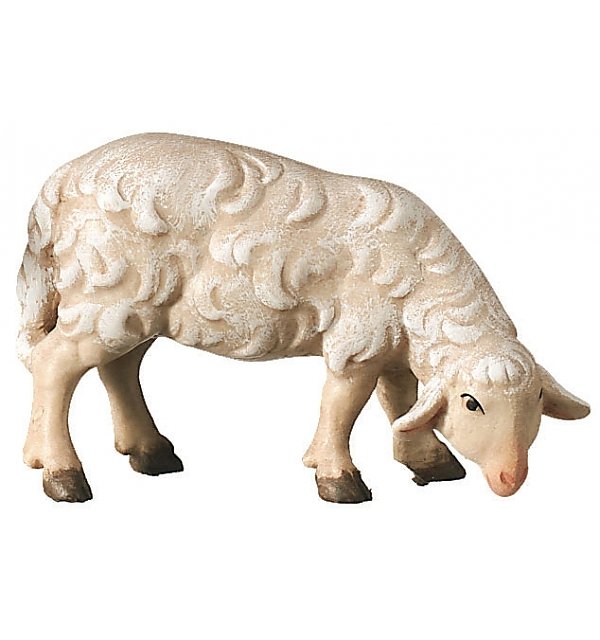 24300 - Sheep standing COLOR