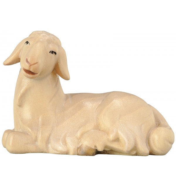 18520 - Sheep lying COLOR