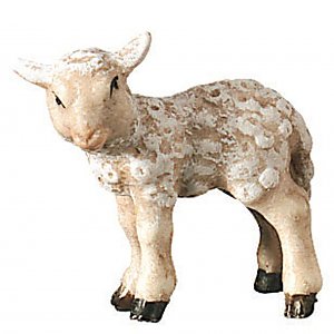 1671 - Lamb standing