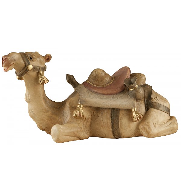 1840 - Camel lying AQUARELL
