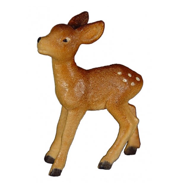 4304 - Fawn standing