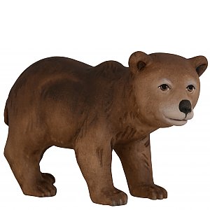 4341 - Bear