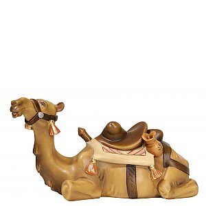 1655 - Camello sdraiato