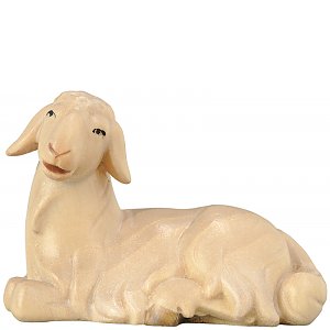 18520 - Sheep lying