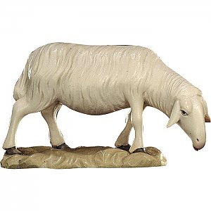 KD150016 - Sheep grazing
