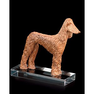 L00504 - Afghan greyhound (w.pedestal in plexi)