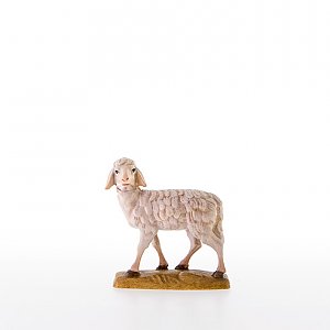 L21000 - Sheep