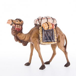 L24020 - Camel