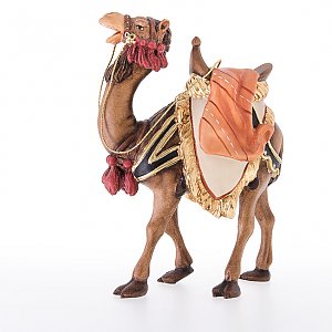 L24021 - Camel